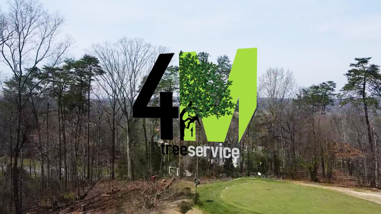 4M Tree Service
