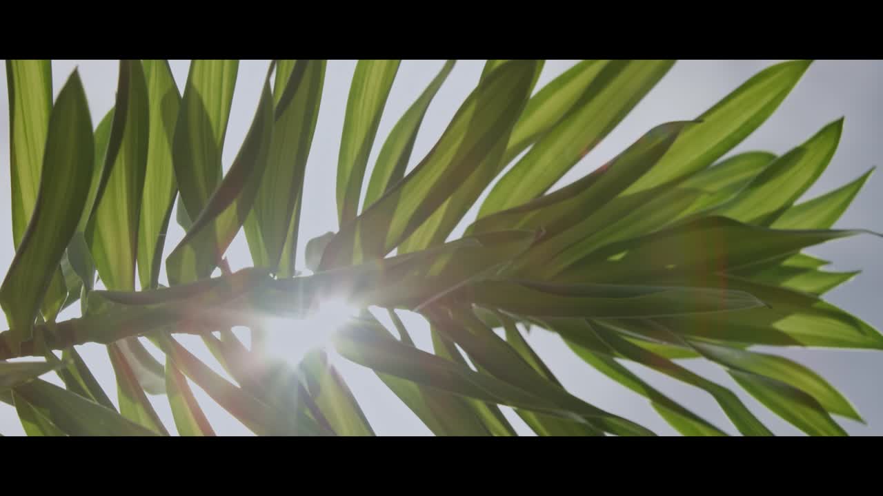 Easter film